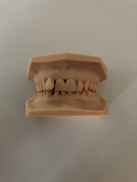 Ausgedruckte Modelle